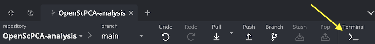 Open the terminal in GitKraken.