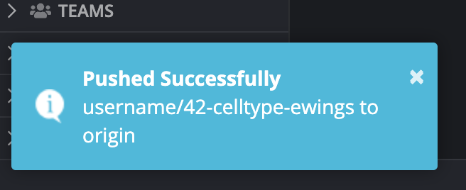 Pushed successfully