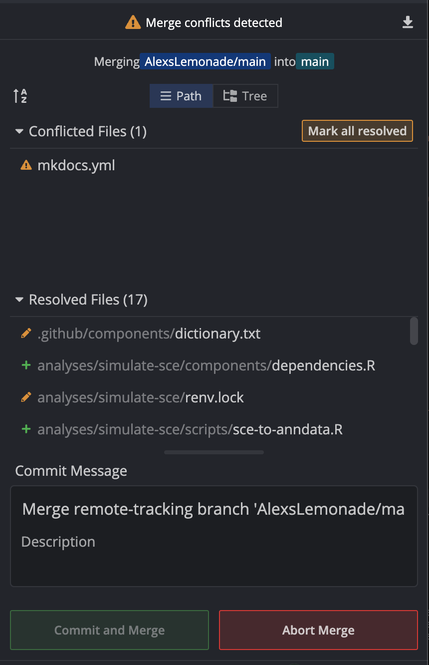 Conflict files list